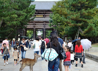 奈良公園と奈良の鹿